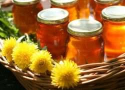 Мед из одуванчиков - польза и вред