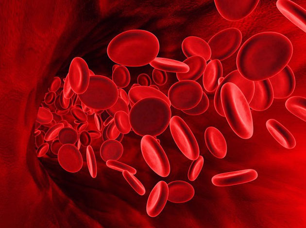Как поднять уровень гемоглобина без лекарств