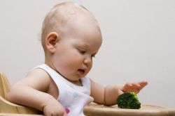 Чем кормить ребенка в 6 месяцев?