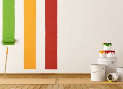 Краска для стен в квартире - как выбрать?