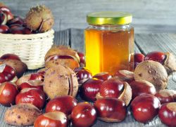 Каштановый мед – полезные свойства и противопоказания