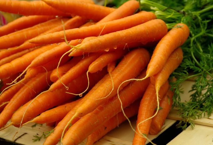 Когда сажать морковь в открытый грунт