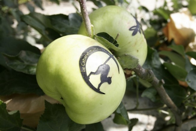 Как маркировать яблоки