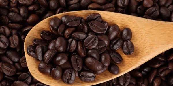 Кофе в зернах - рейтинг лучших и элитных сортов, как выбрать лучший для кофемашины и цены