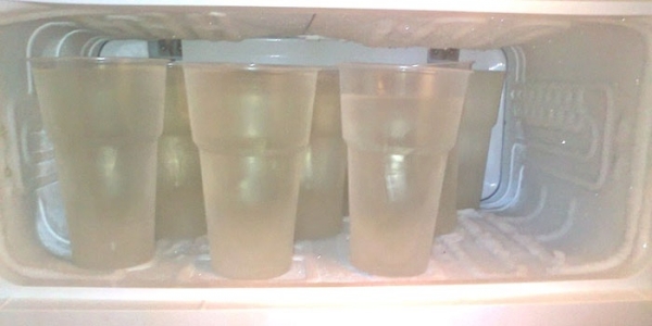 Березовый сок в домашних условиях - рецепты приготовления для консервации и хранение