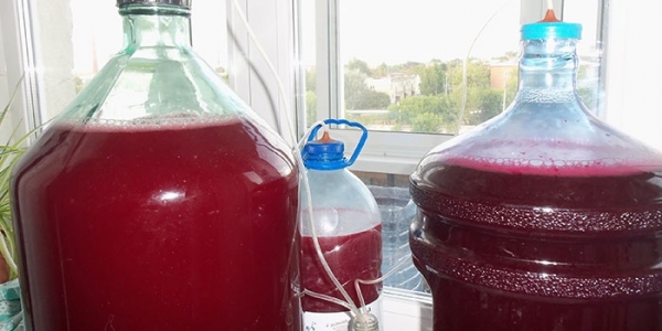 Как сделать вино из вишни в домашних условиях — рецепты приготовления с косточками и на водке, фото и видео