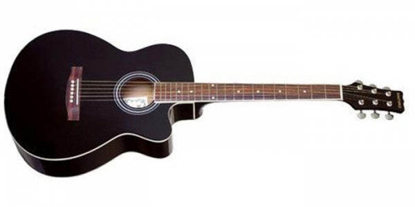 Акустическая гитара - как выбрать и где купить музыкальный инструмент, цены и отзывы