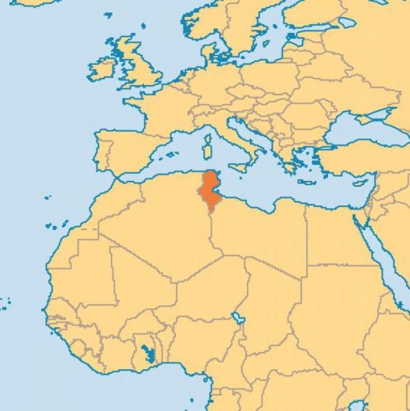 География Африки: Тунис. Где это и какими морями омывается