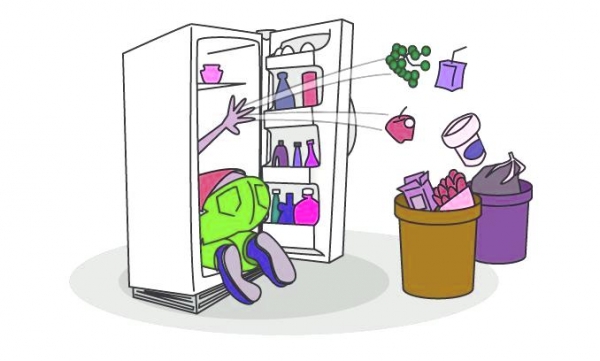 Как правильно пользоваться холодильником