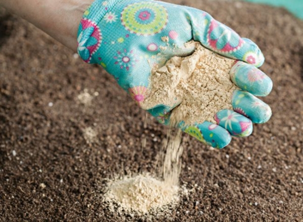 Зачем надо известковать почву в теплице