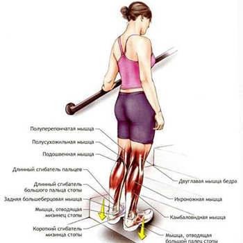 Как похудеть в ногах, не накачивая мышцы?