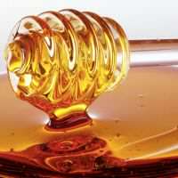 Можно ли есть мед при похудении?
