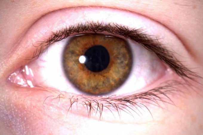 Как улучшить зрение без врачей и лекарств