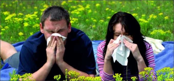 Аллергия: симптомы, лечение, причины