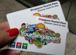 Туристическая карта Singapore Tourist Pass