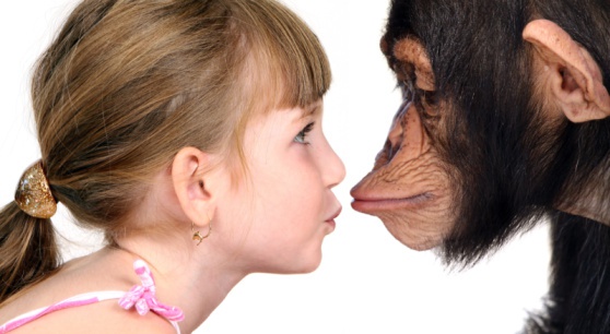 Действительно ли человек произошел от обезьяны, как мы привыкли думать?
