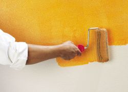 Краска для стен в квартире - как выбрать?