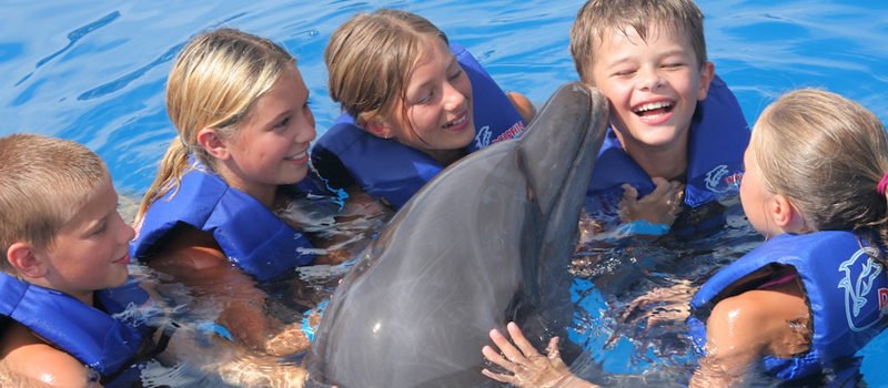 как дельфины лечат детей