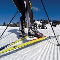 Как научиться кататься на лыжах коньковым ходом?