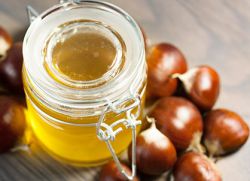 Каштановый мед – полезные свойства и противопоказания