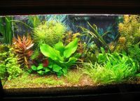 Искусственные растения для аквариума
