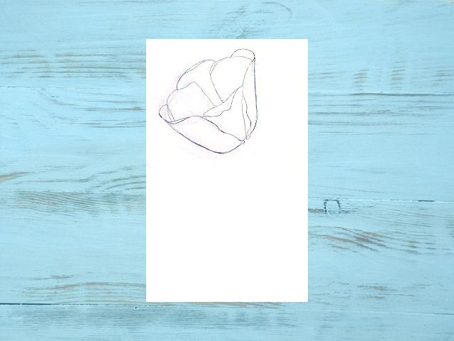 Как нарисовать тюльпаны