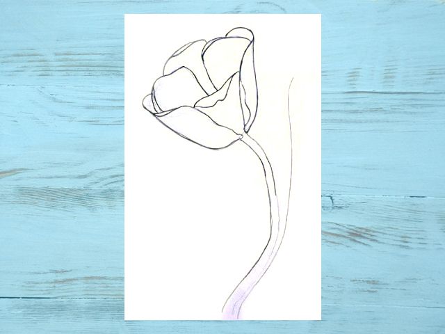 Как нарисовать тюльпаны