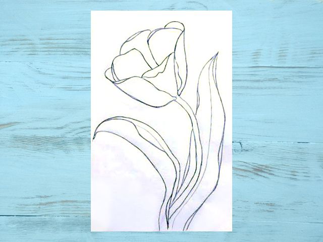 Как нарисовать тюльпаны