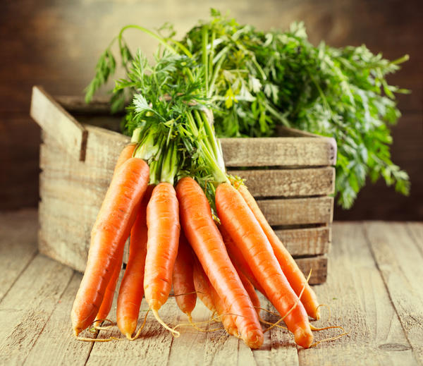 Как сохранить морковь до весны