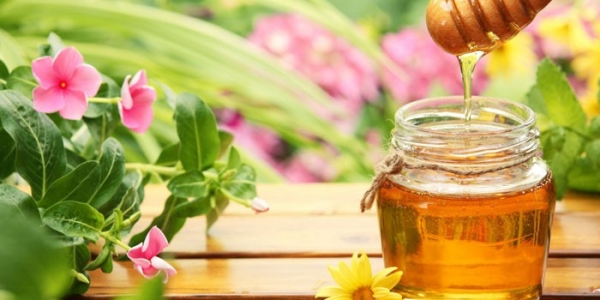 Можно ли есть мед на диете - полезные свойства для похудения, как и сколько принимать в сутки