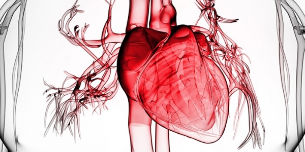 Обширный инфаркт - первые признаки, диагностика, стадии, лечение и восстановительный период