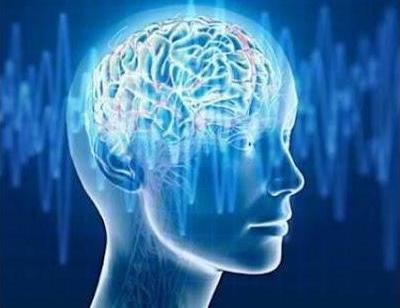 Альфа-ритм головного мозга: норма и нарушение. Электроэнцефалограмма головного мозга