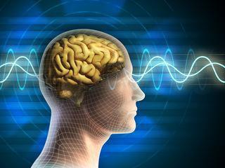 Альфа-ритм головного мозга: норма и нарушение. Электроэнцефалограмма головного мозга