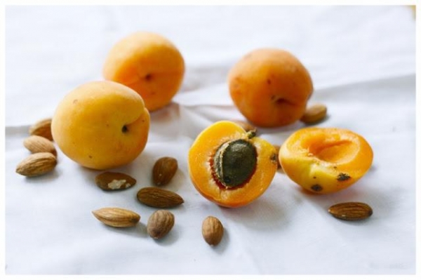 Конфитюр из абрикосов: рецепты приготовления
