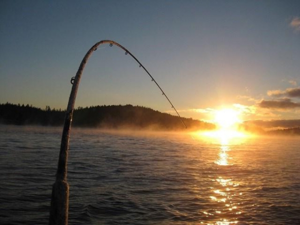 Боковой кивок для летней рыбалки: изготовление снасти и техника ловли