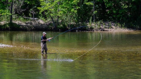Боковой кивок для летней рыбалки: изготовление снасти и техника ловли