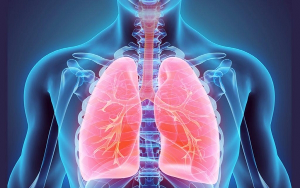 Что значит везикулярное дыхание?