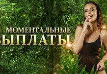 Казино Эльслотс — виртуальное заведение азарта