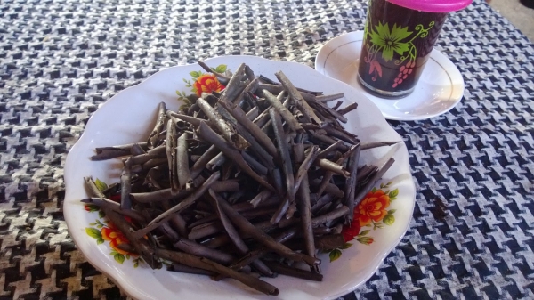 Что такое литофагия