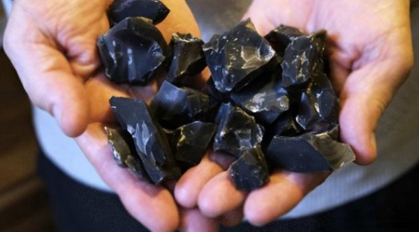 Что такое литофагия