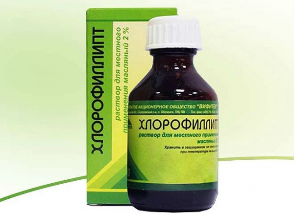 Хлорофиллипт – масляный раствор для горла: показания к применению