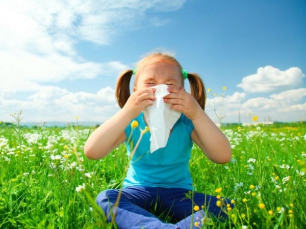 Как уберечься от аллергии