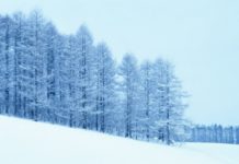 Що таке снігопад як явище природи