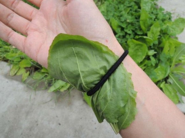 Как помочь себе в устранении синяка на теле