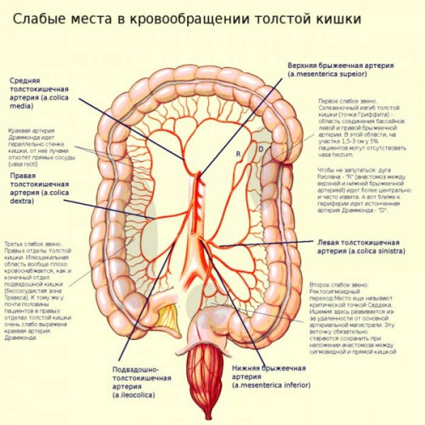 6 признаков, что у вас ишемия кишечника