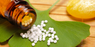 Гинкго Билоба