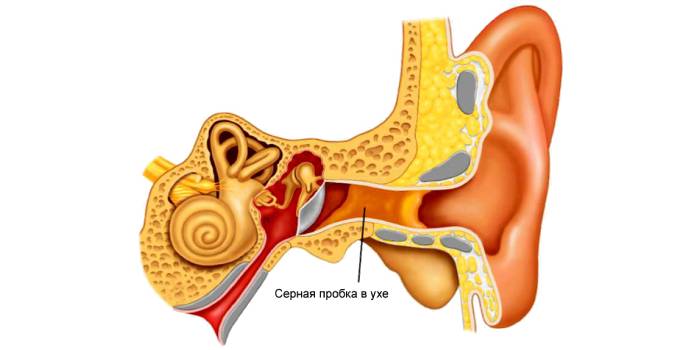 7 причин, когда зуд в ушах доставляет огромный дискомфорт