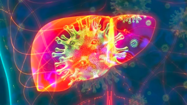 Как уберечь печень в условиях пандемии коронавируса?