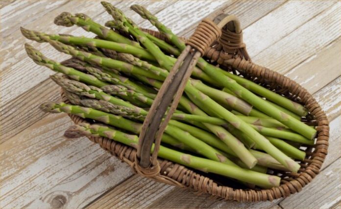 asparagus-01