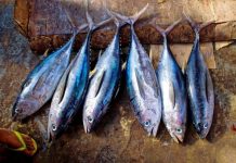 Про небезпеку популярної риби попередили експерти